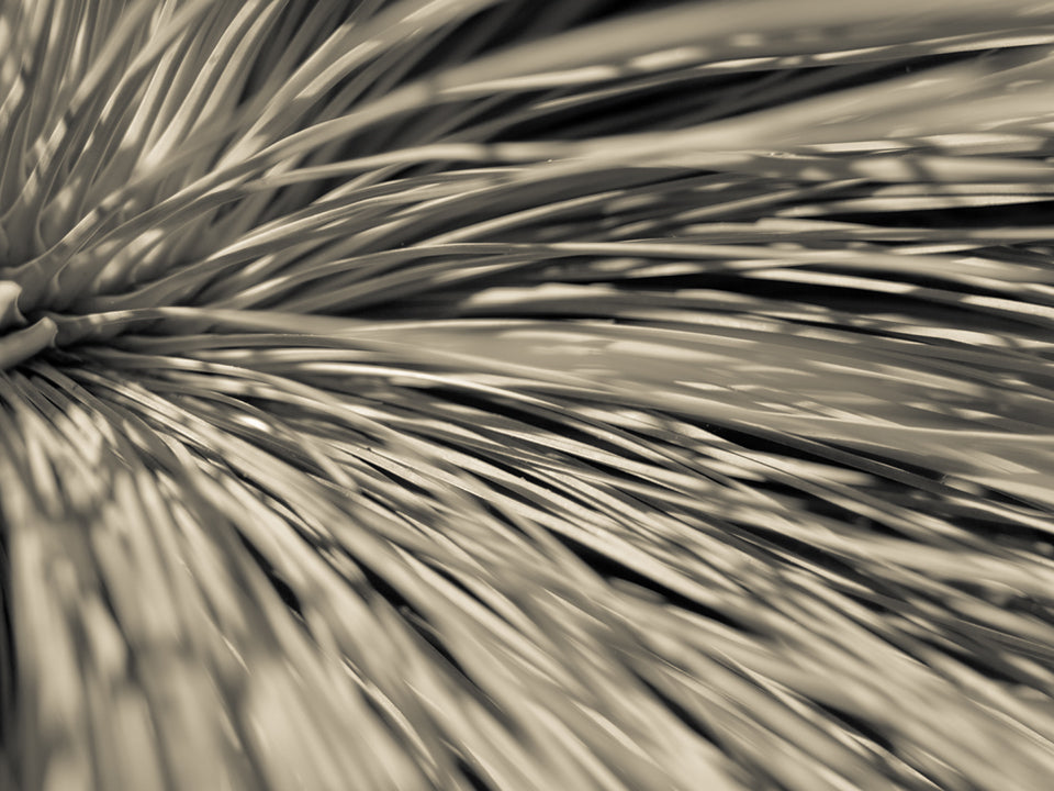 Does Skin Soil have to be used with Gentle Matter ?