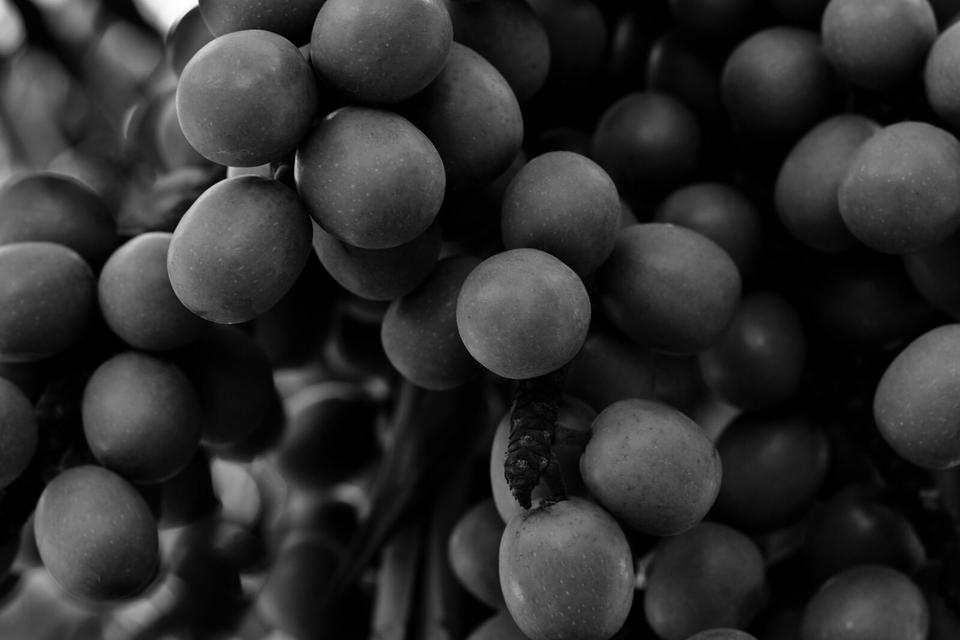 Antioxidants - A Daily Skin Essential
